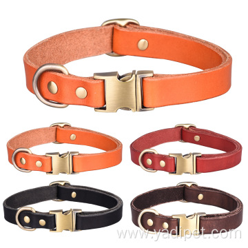 Leather Personalised Cat dog Collars